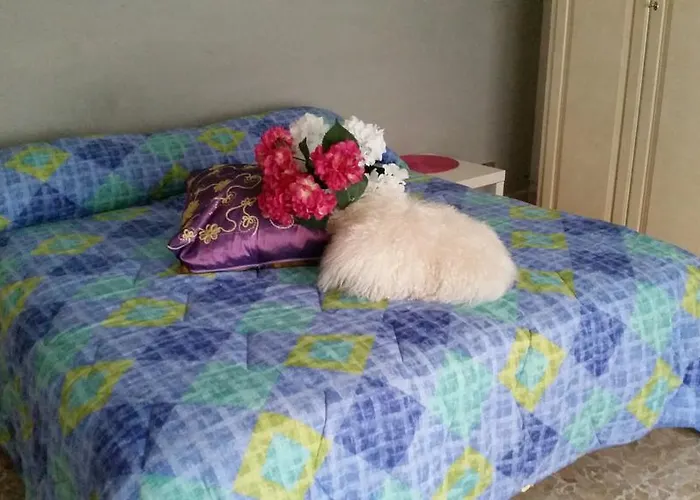 Aurora 住宿加早餐酒店 Morena